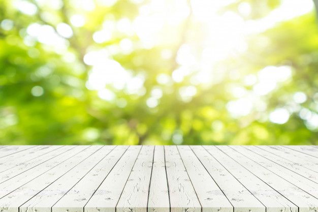 Welcome to a world where nature meets design