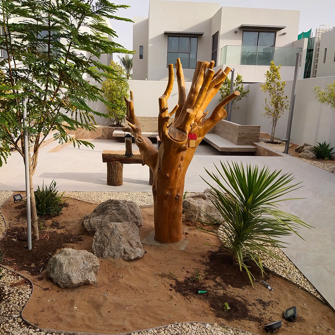 Large Ornamental Tree