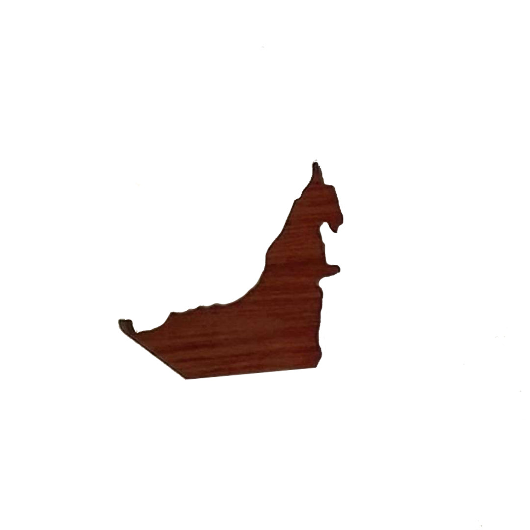 UAE MAP BROWN BROOCH