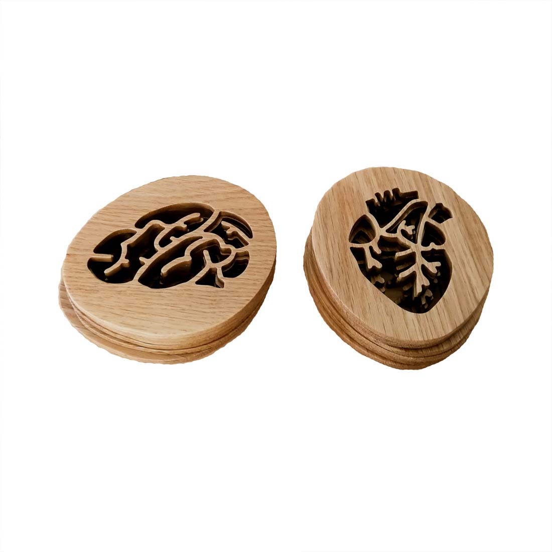 BRAIN AND HEART COASTERS
