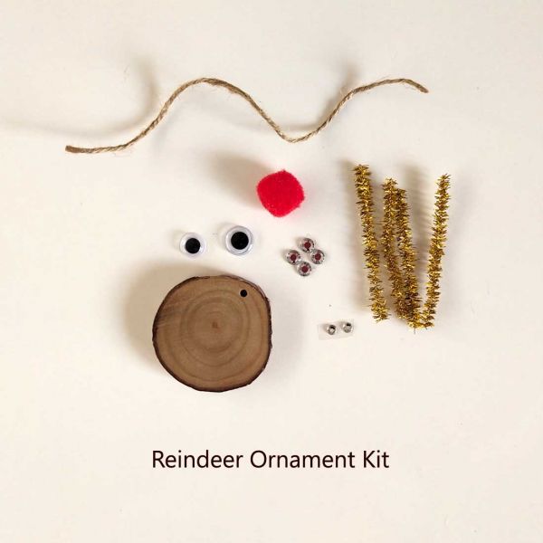 DIY CHRISTMAS ORNAMENTS