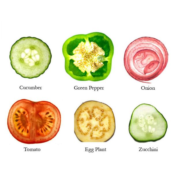 FRUIT & VEGGIE COASTERS