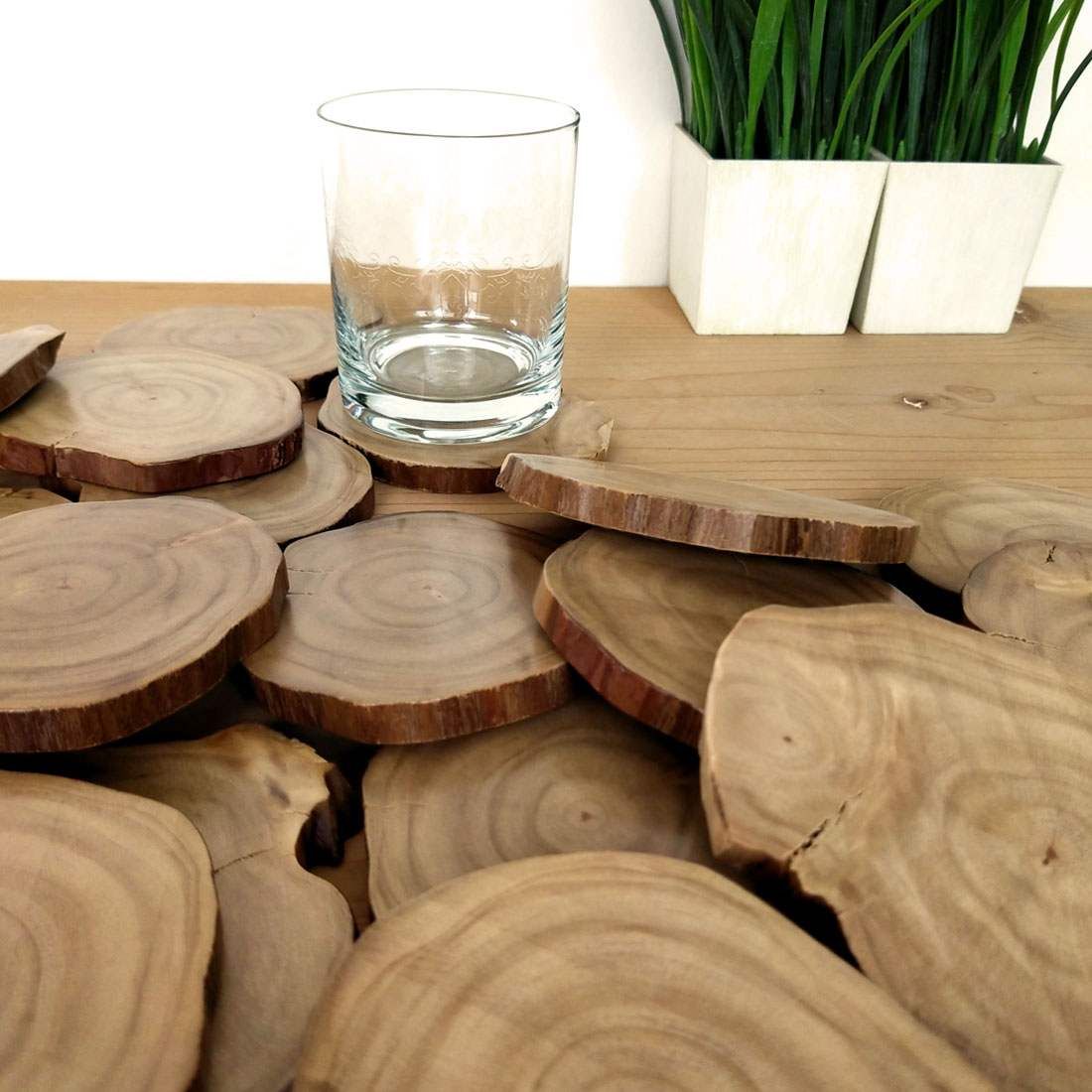 STUMP COASTERS