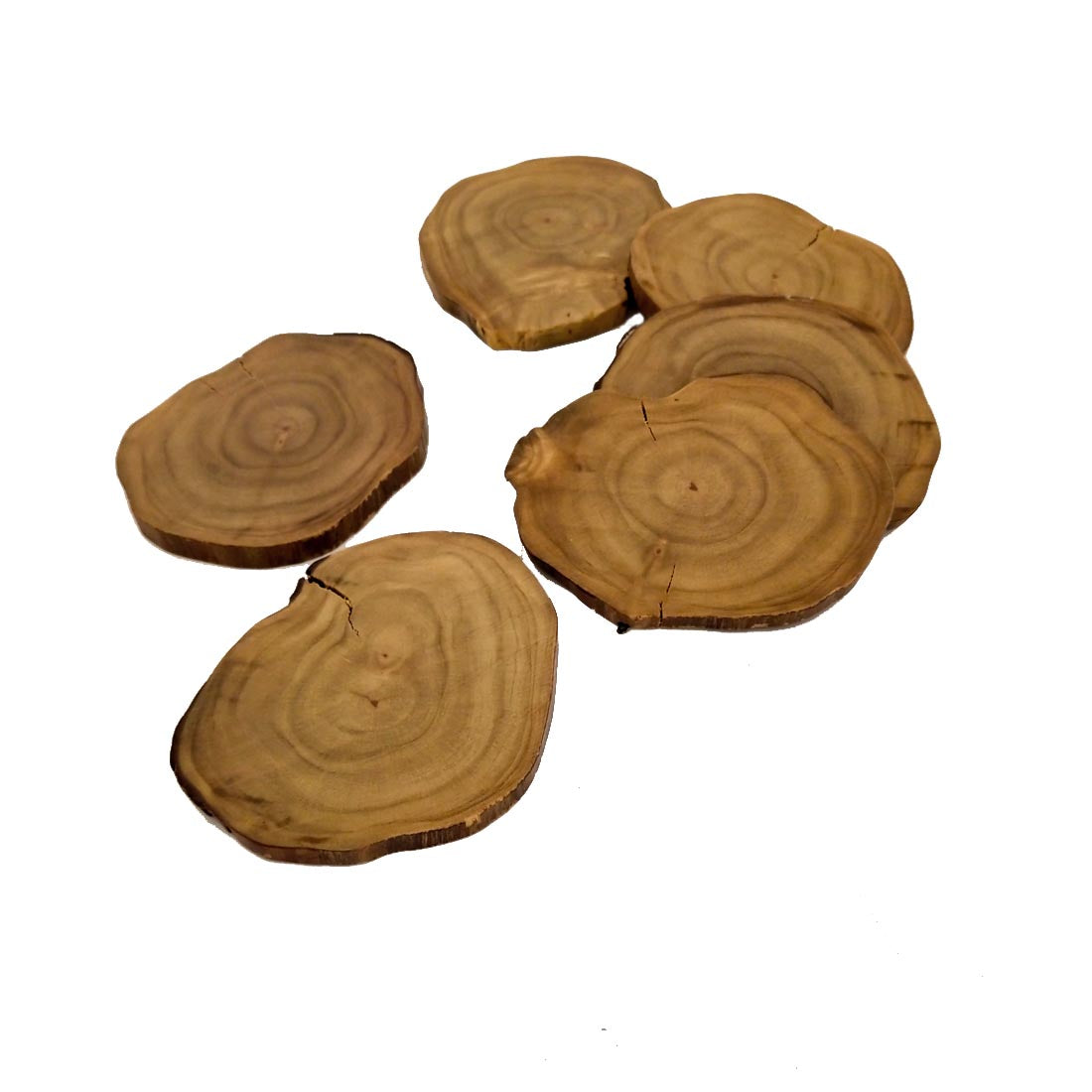 STUMP COASTERS
