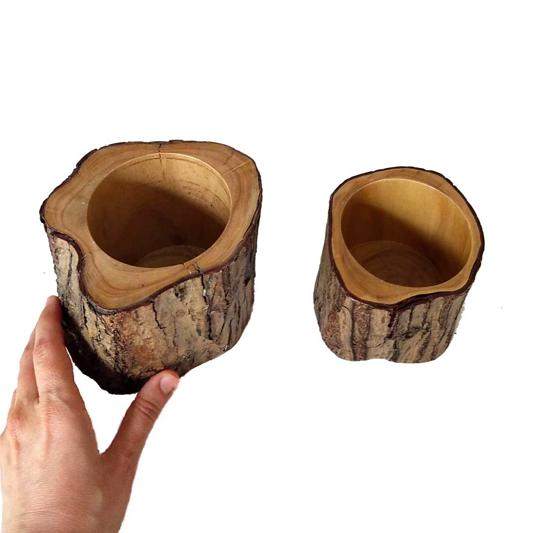 STUMP POT DUO