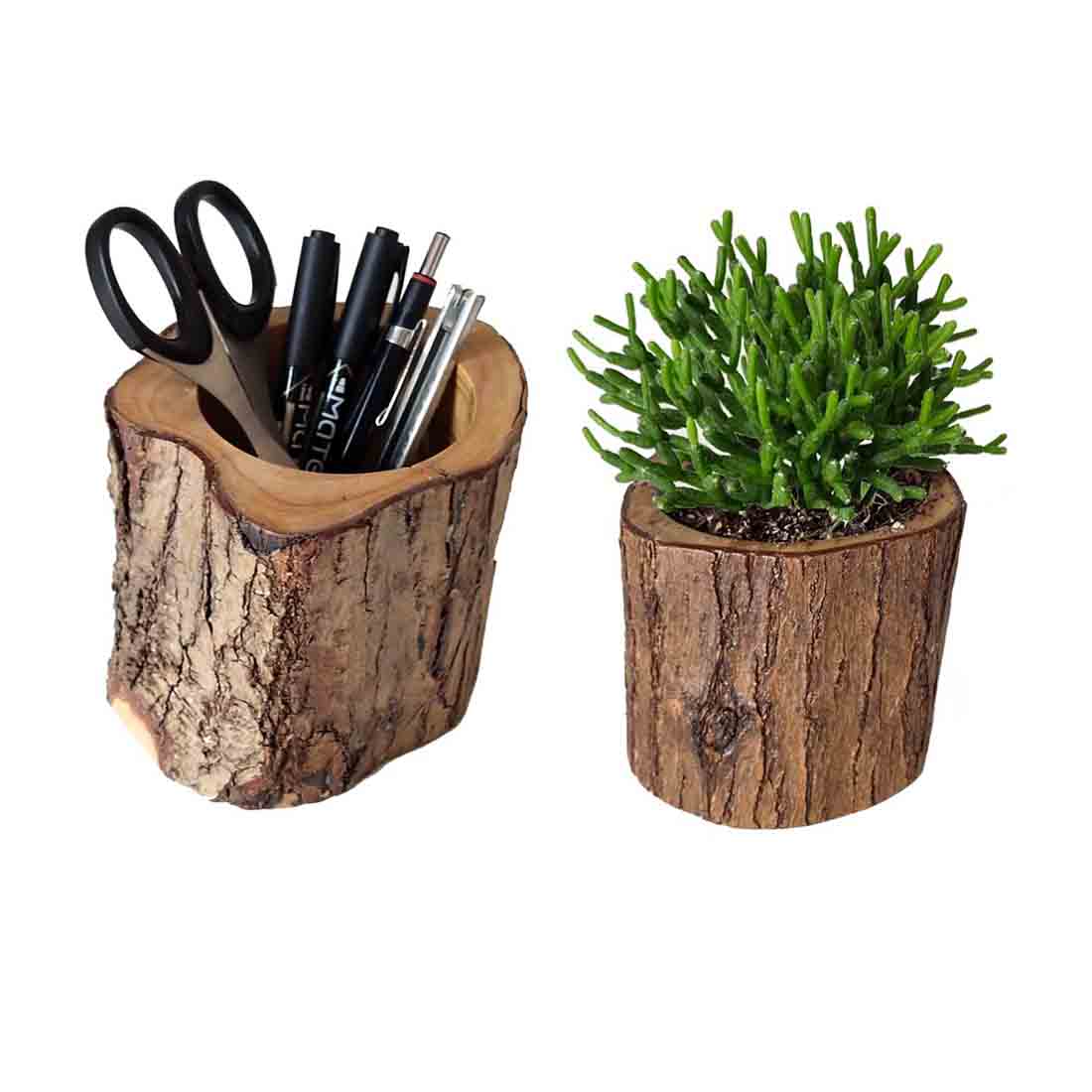 STUMP POT DUO