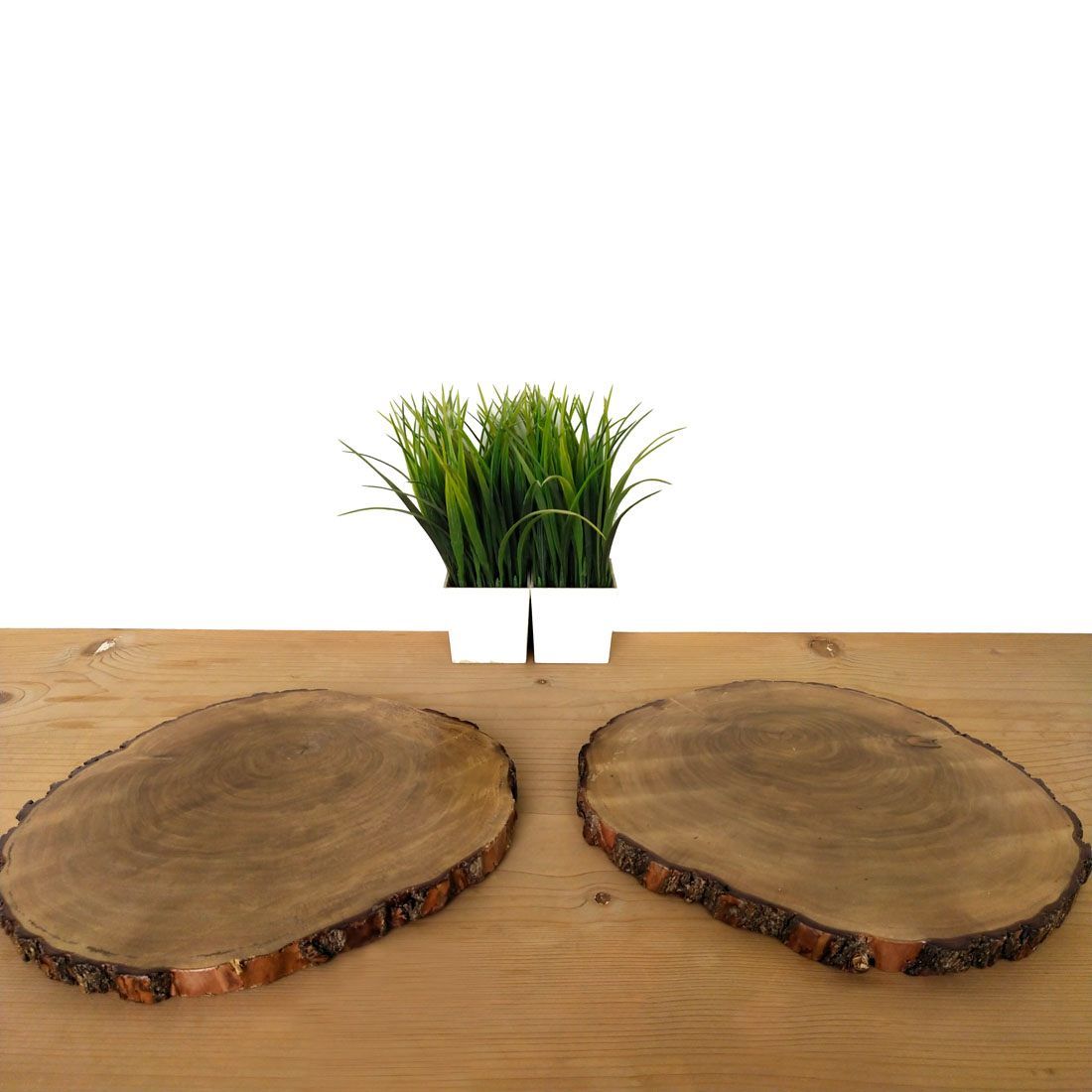 STUMP TRIVETS