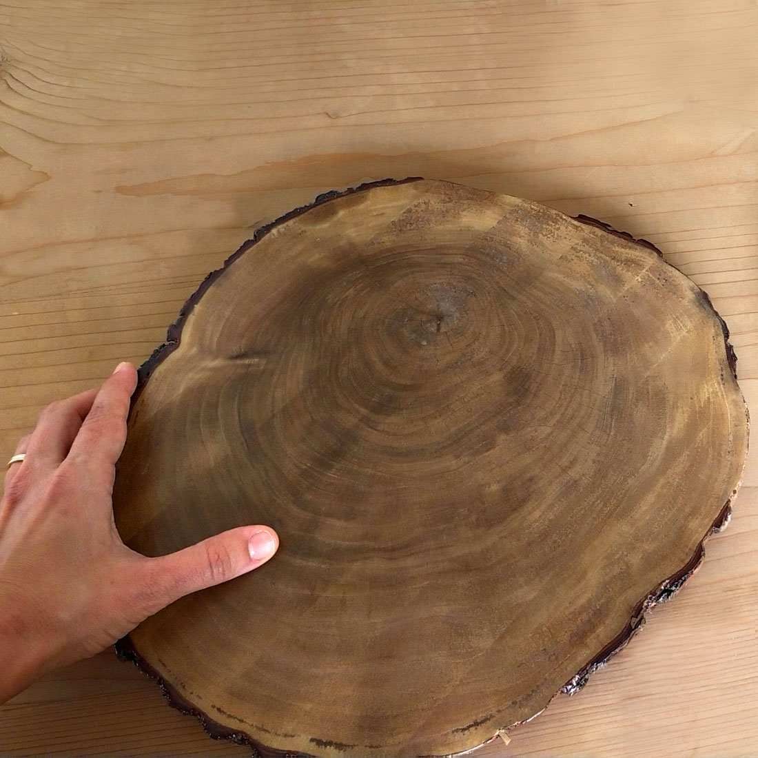 STUMP TRIVETS