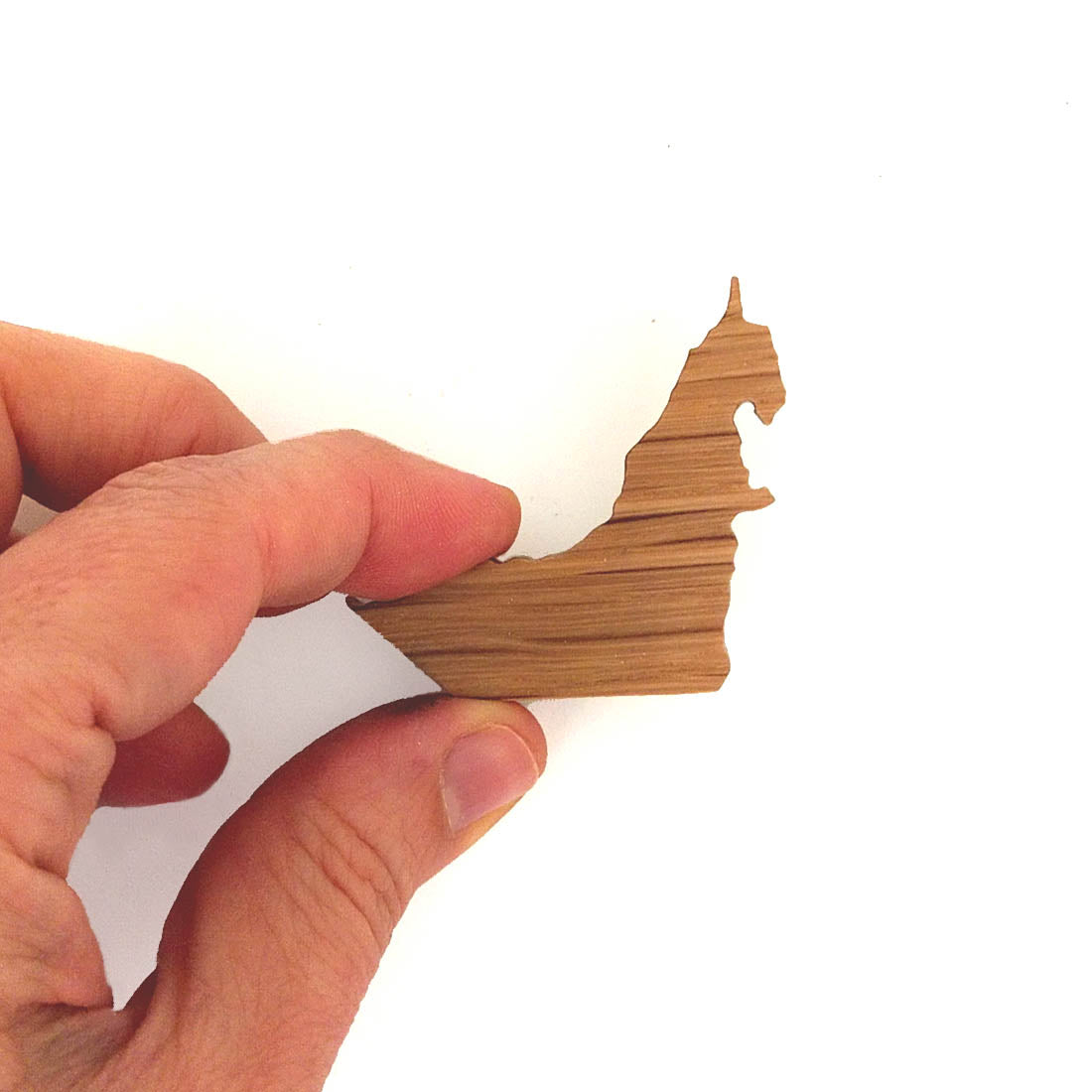 UAE MAP BEIGE BROOCH